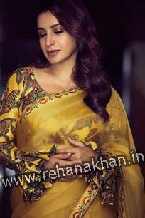 Air Hostess ahmedabad escorts